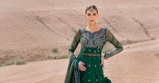 3 Piece Embroidered Net Suit | D-2507-A