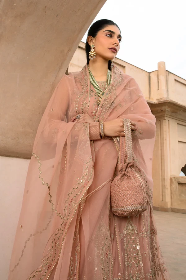3 Piece Embroidered Net Suit SKU: WOM34101