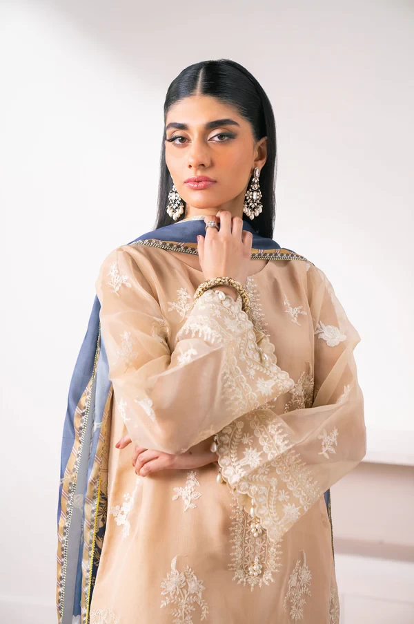 3 Piece Embroidered Semi Formal Suit SKU: WOM34119