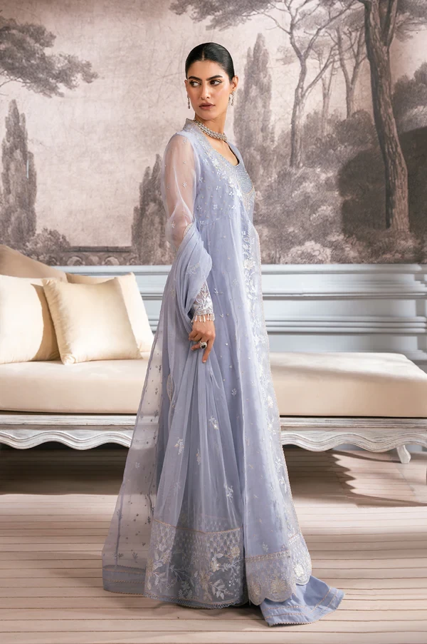 2 Piece Embroidered Organza Suit SKU: WOM24110
