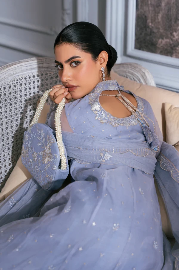 2 Piece Embroidered Organza Suit SKU: WOM24110