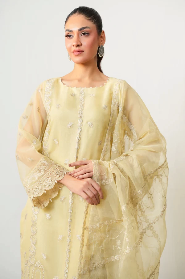 3 Piece Embroidered Organza Suit SKU: WOM34140