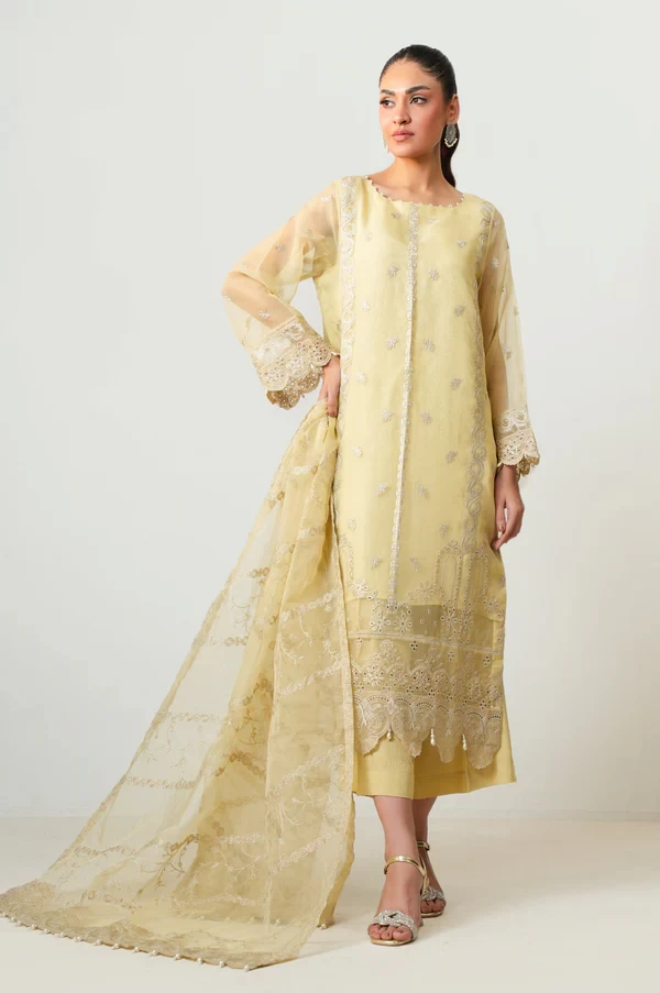 3 Piece Embroidered Organza Suit SKU: WOM34140