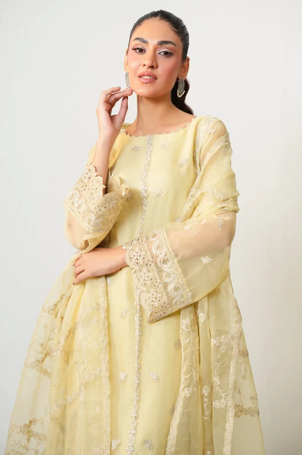 3 Piece Embroidered Organza Suit SKU: WOM34140