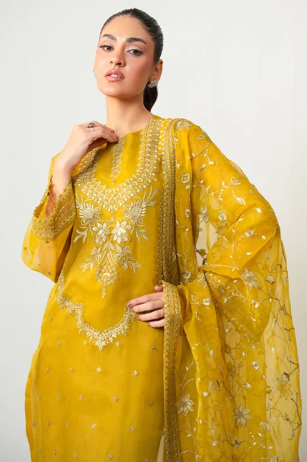 3 Piece Embroidered Organza Suit  SKU: WOM34141