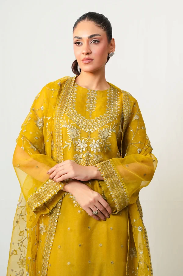 3 Piece Embroidered Organza Suit  SKU: WOM34141