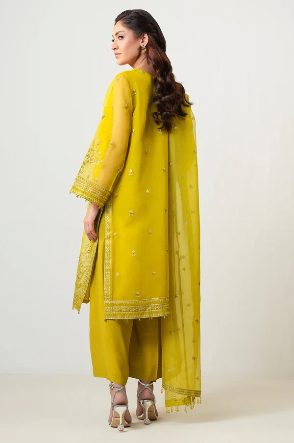 3 Piece Embroidered Organza Suit  SKU: WOM34138