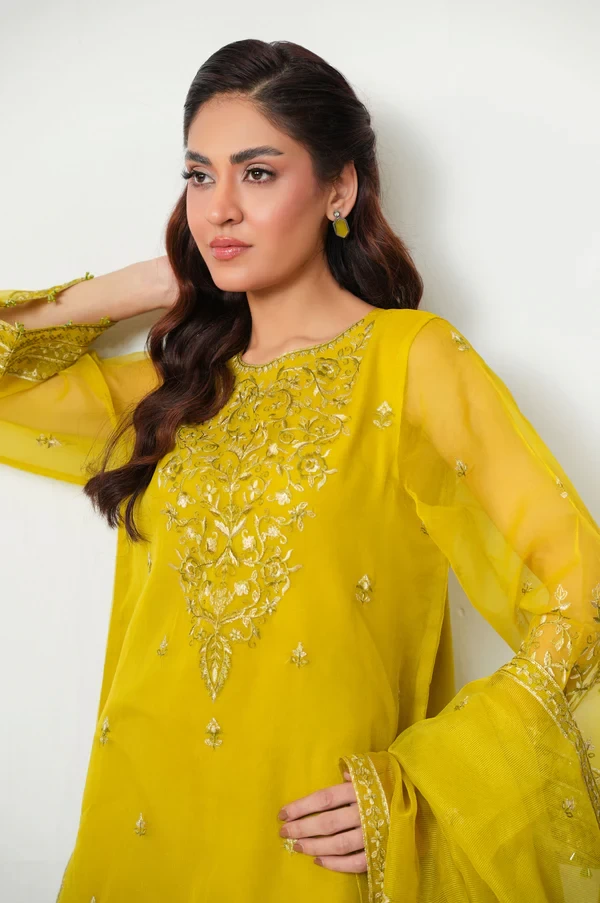 3 Piece Embroidered Organza Suit  SKU: WOM34138