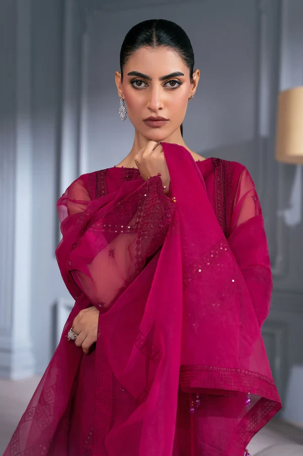 3 Piece Embroidered Semi Formal Organza Suit  SKU: WOM34128