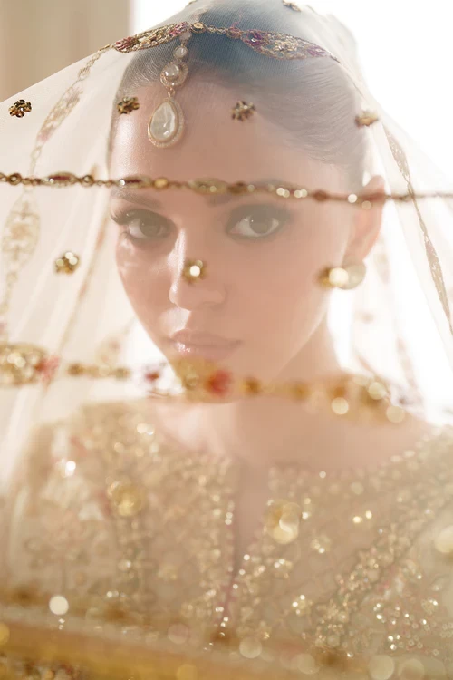EMBROIDERED NET CH14-02  - CHV14D02 ●