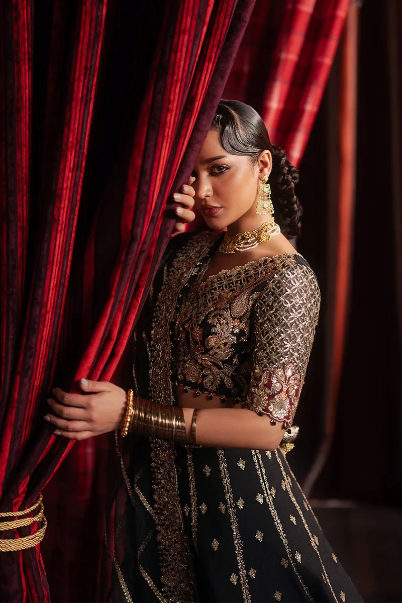 GULRAIZ -SKU: 1107-Gulraiz-DIVANI The Silk Edit. '25
