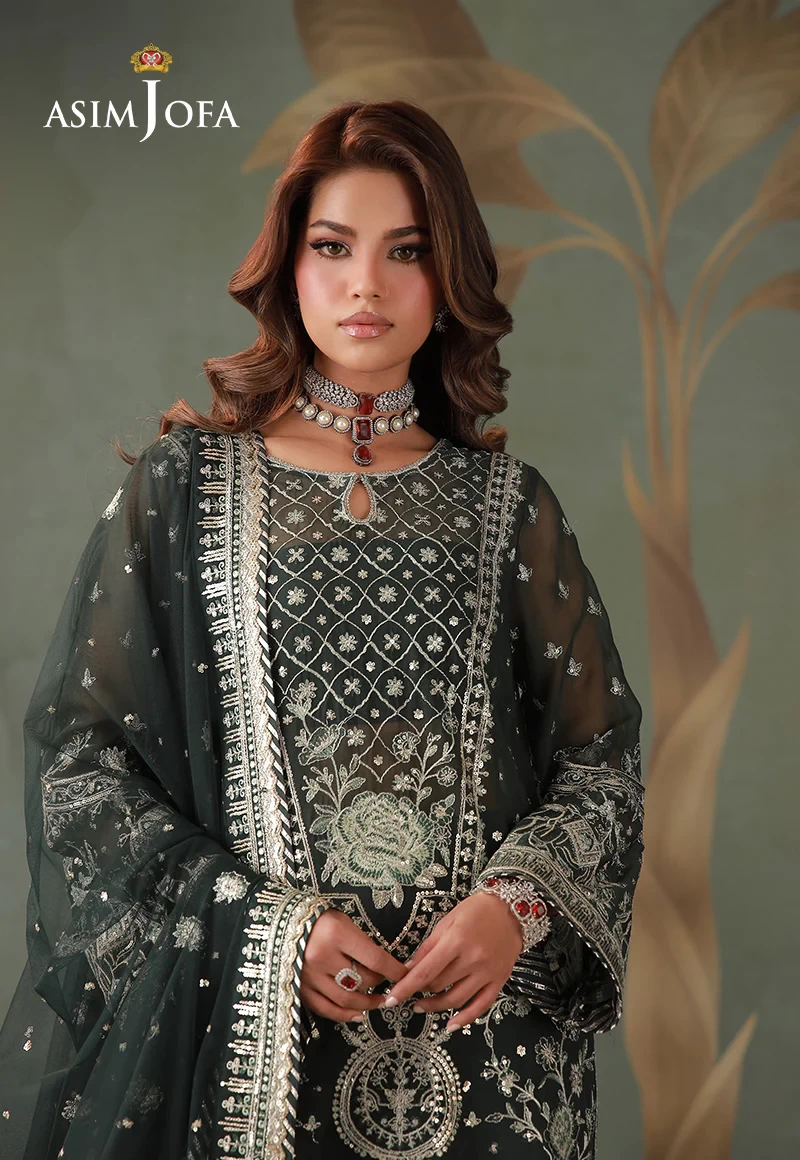 Embroidered Chiffon - AJULD-11-UNS