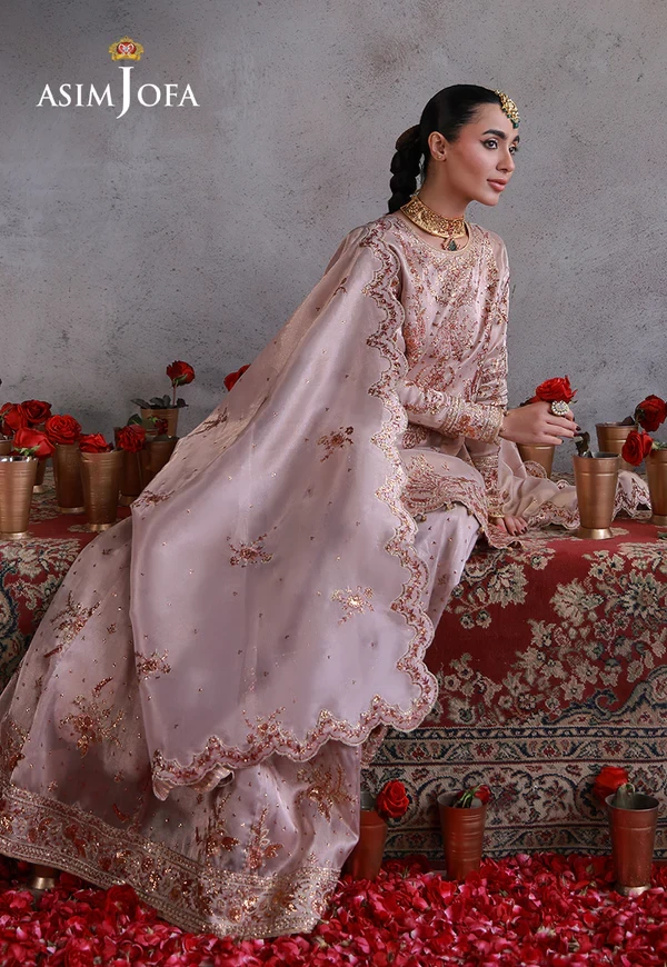 AJULN-15 Embroidered Zari Tissue Net - SKU: AJULN-15-UNS
