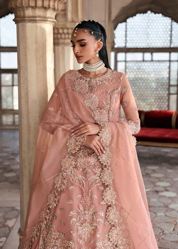 Nazneen - 5017