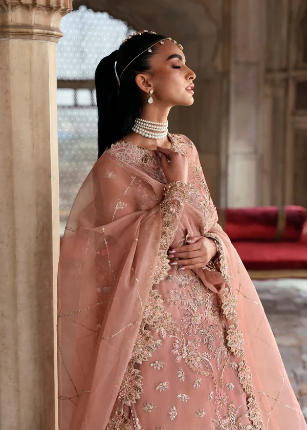 Nazneen - 5017