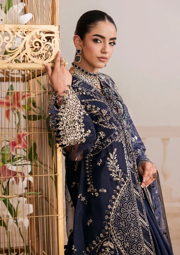 Aik Shaam - Look B2604