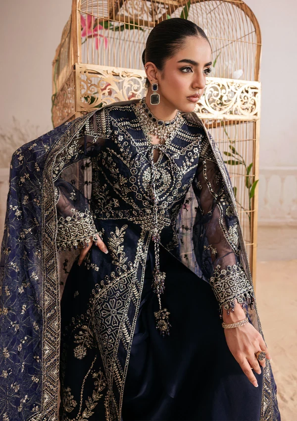 Aik Shaam - Look B2604