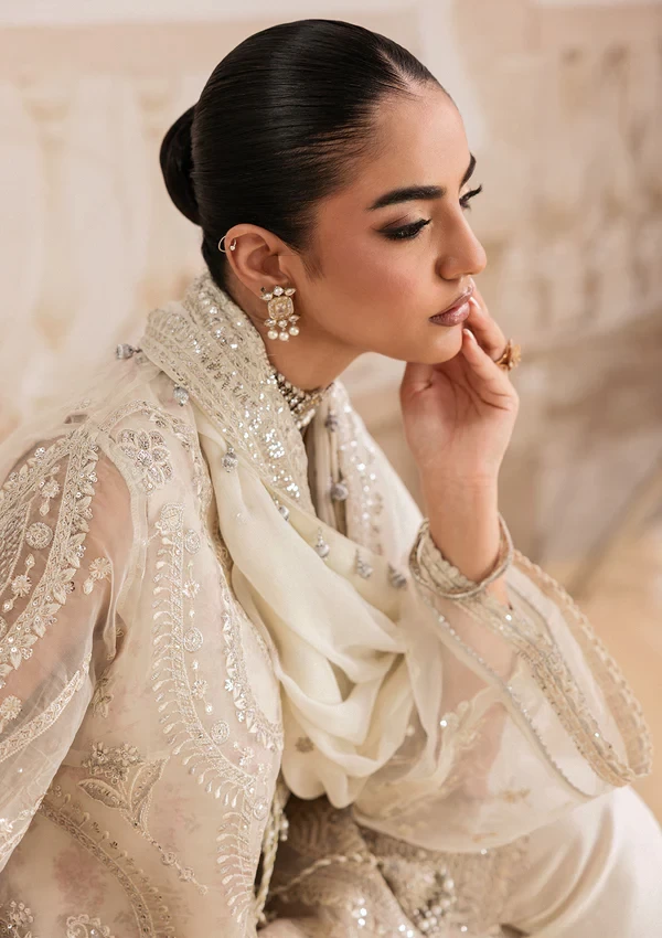 Aik Shaam - Look B2602