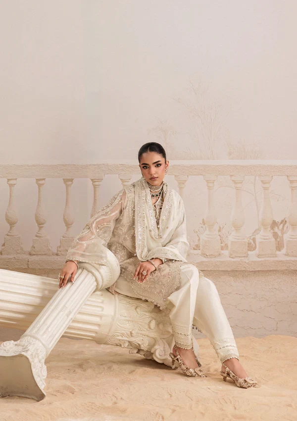 Aik Shaam - Look B2602