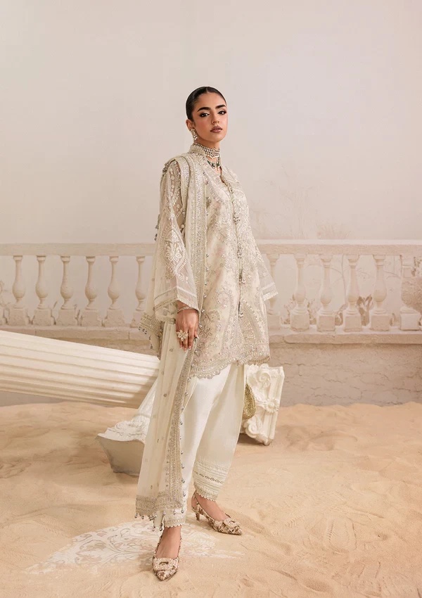 Aik Shaam - Look B2602