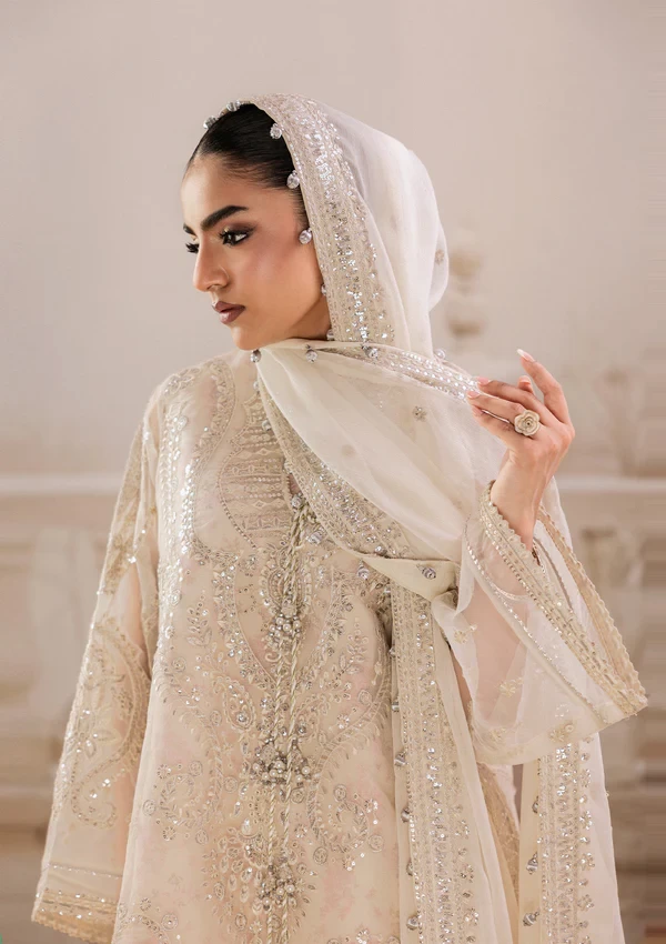 Aik Shaam - Look B2602