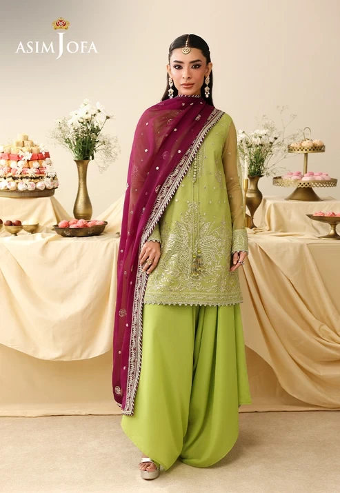 AJULIH-10 Embroidered Net 3 Pcs