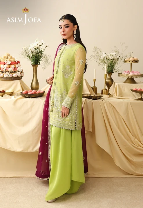AJULIH-10 Embroidered Net 3 Pcs