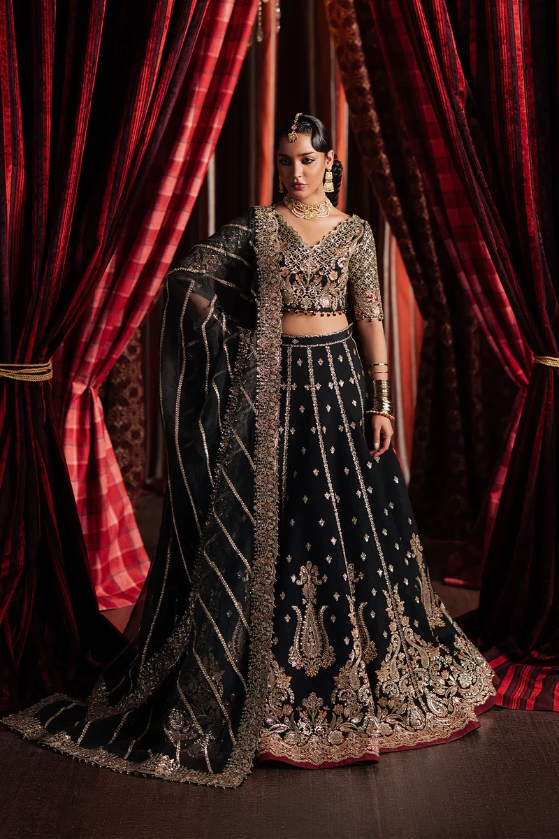 GULRAIZ -SKU: 1107-Gulraiz-DIVANI The Silk Edit. '25
